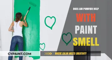 Can Air Purifiers Eliminate Paint Smell? A Comprehensive Guide