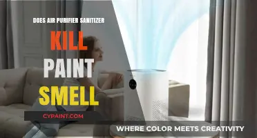 Can Air Purifiers Eliminate Paint Smell? Sanitizer Effectiveness Explained