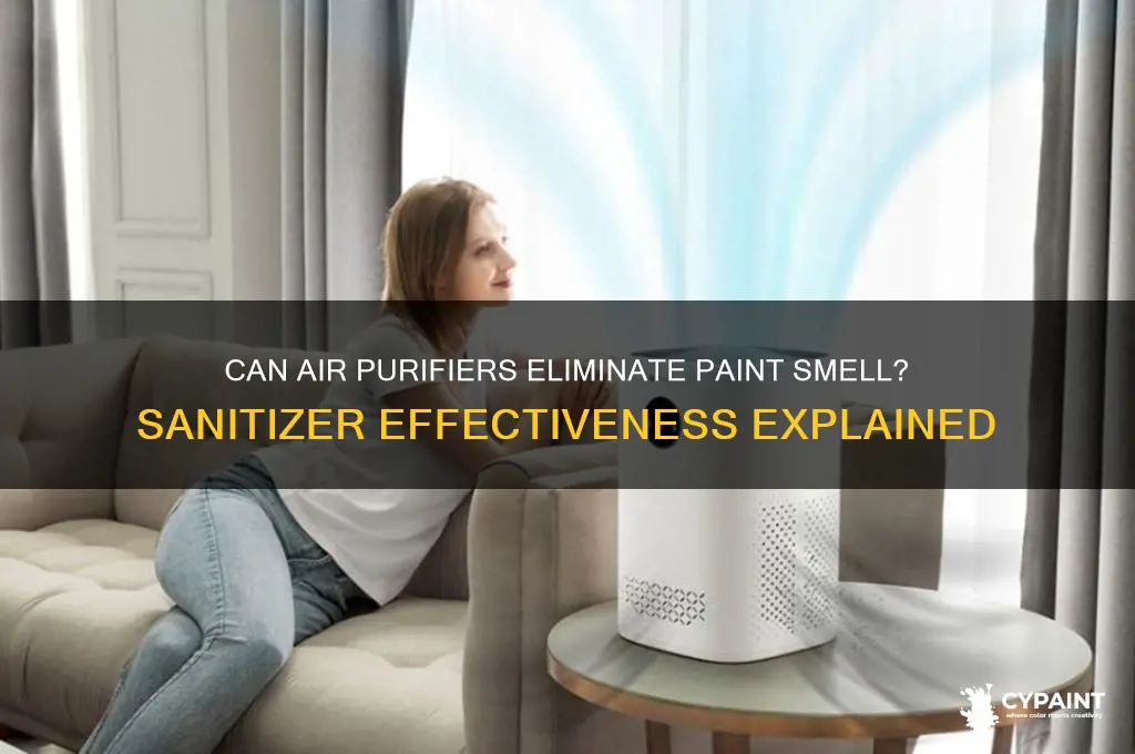 does air purifier sanitizer kill paint smell