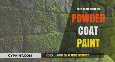 Algae Resistance of Powder Coat Paint: A Comprehensive Analysis
