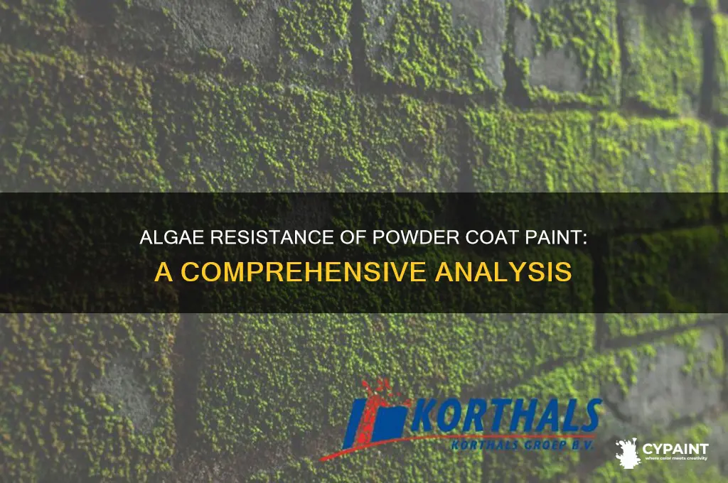 does algae stick to powder coat paint