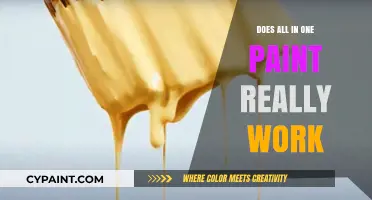 Does All-in-One Paint Deliver on Its Promises? A Reality Check