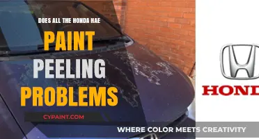 Honda Paint Peeling Issues: Causes, Solutions, and Prevention Tips