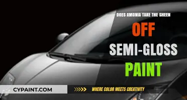 Amonia: The Secret to a Perfect Semi-Gloss Paint Sheen?