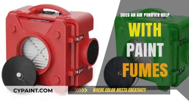 Can Air Purifiers Effectively Reduce Paint Fumes in Your Home?