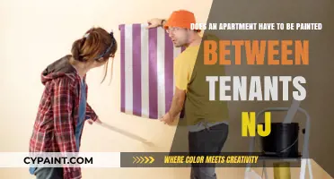 NJ Rental Laws: Must Apartments Be Painted Between Tenants?