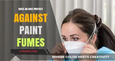 N95 Masks: Effective Protection Against Paint Fumes or Not?