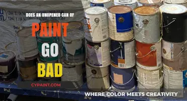 The Shelf Life of Paint: Does an Unopened Can Go Bad?