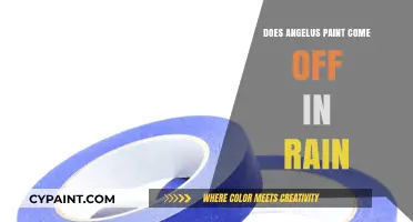 Angelus Paint Durability: Will It Withstand Rain and Weather?