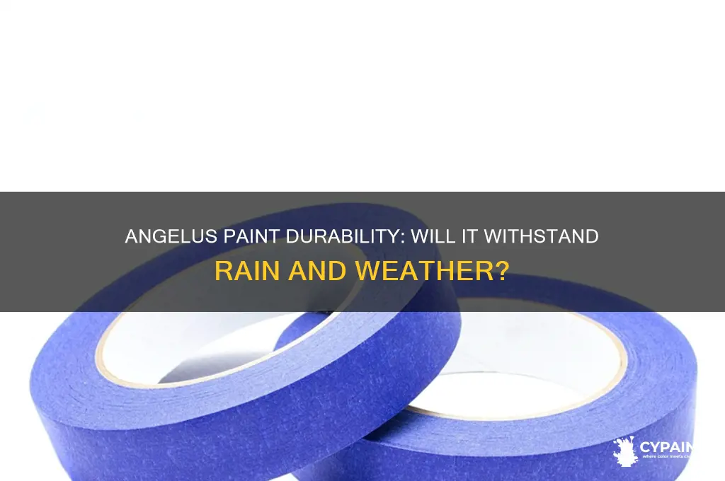 does angelus paint come off in rain