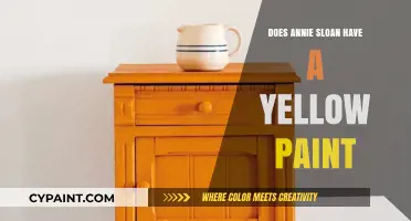 Annie Sloan Yellow Paint: Exploring Color Options for Your Projects