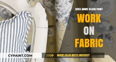 Can You Use Annie Sloan Paint on Fabric? A Complete Guide
