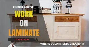 Can You Use Annie Sloan Paint on Laminate Surfaces?