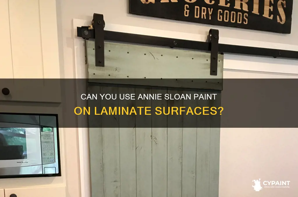 does annie sloan paint work on laminate