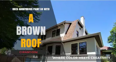 Anonymous Paint Colors: Complementing Brown Roofs for a Cohesive Home Exterior