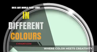 Explore Anti-Mould Paint: Various Colors for Every Room's Needs
