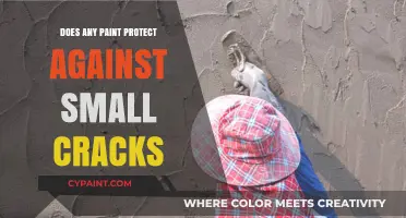 Can Paint Really Shield Your Walls from Small Cracks?