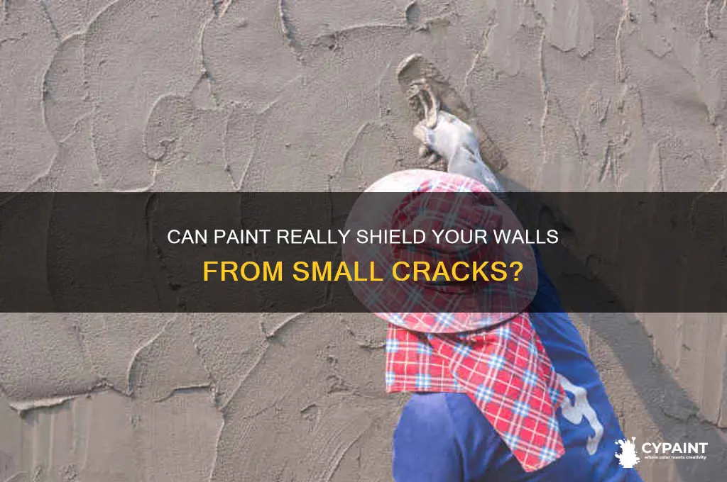 does any paint protect against small cracks