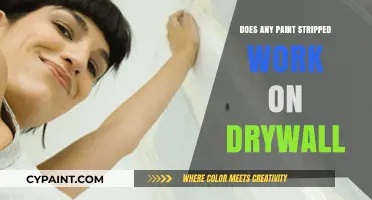Effective Paint Stripping Methods for Drywall: What Really Works?