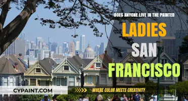 Exploring the Painted Ladies: San Francisco's Colorful Residents