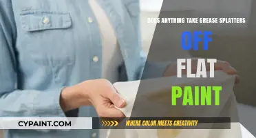 Removing Grease Splatters from Flat Paint: Effective Solutions and Tips