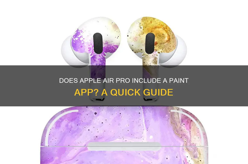 does apple air pro have a paint app