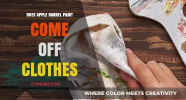 How to Remove Apple Barrel Paint Stains from Clothes Easily