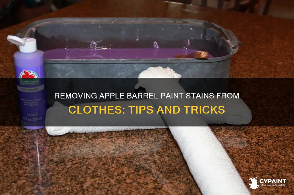does apple barrel paint come out of clothes