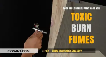 Apple Barrel Paint: Safe or Toxic Fumes?