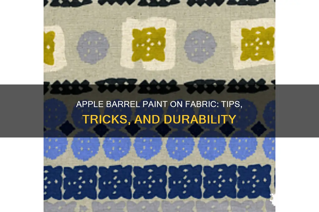does apple barrel paint work on fabric