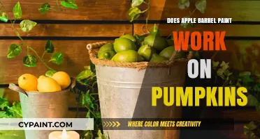Can Apple Barrel Paint Transform Your Pumpkin Creations?