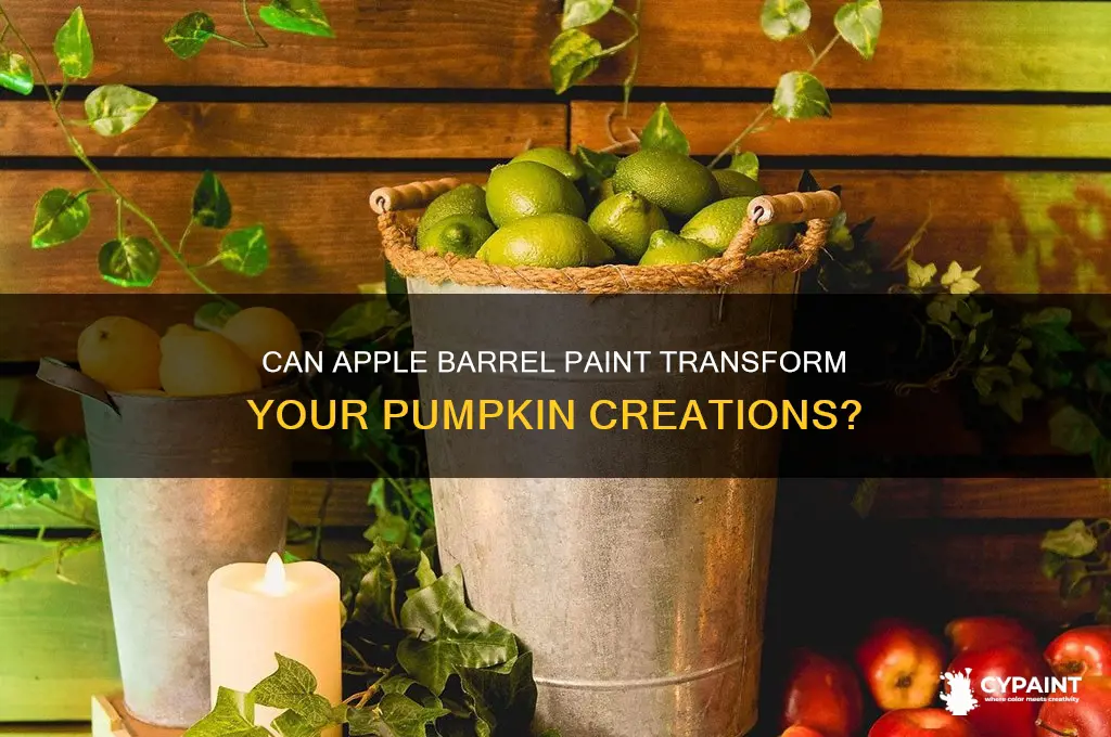 does apple barrel paint work on pumpkins
