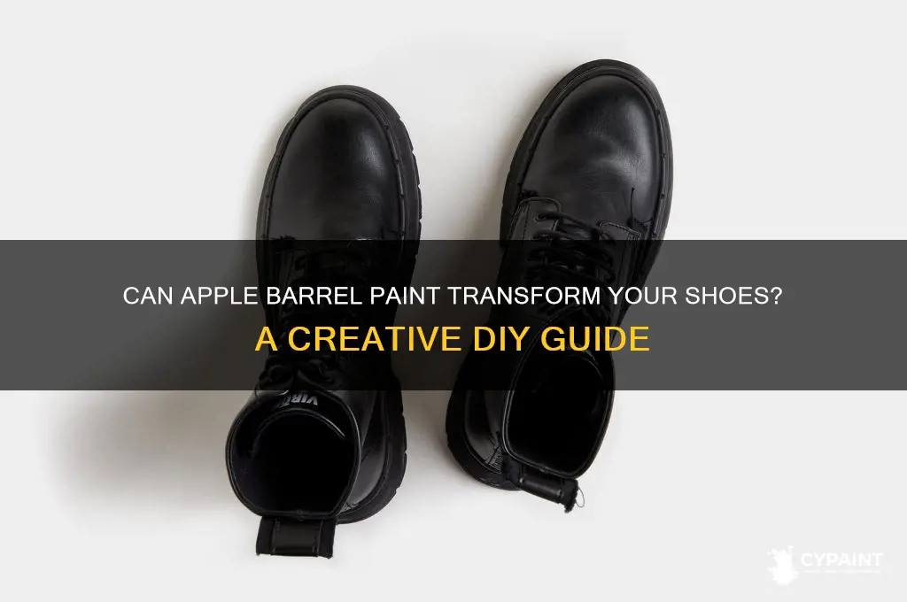 does apple barrel paint work on shoes