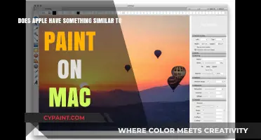 Apple's Alternative to MS Paint on Mac