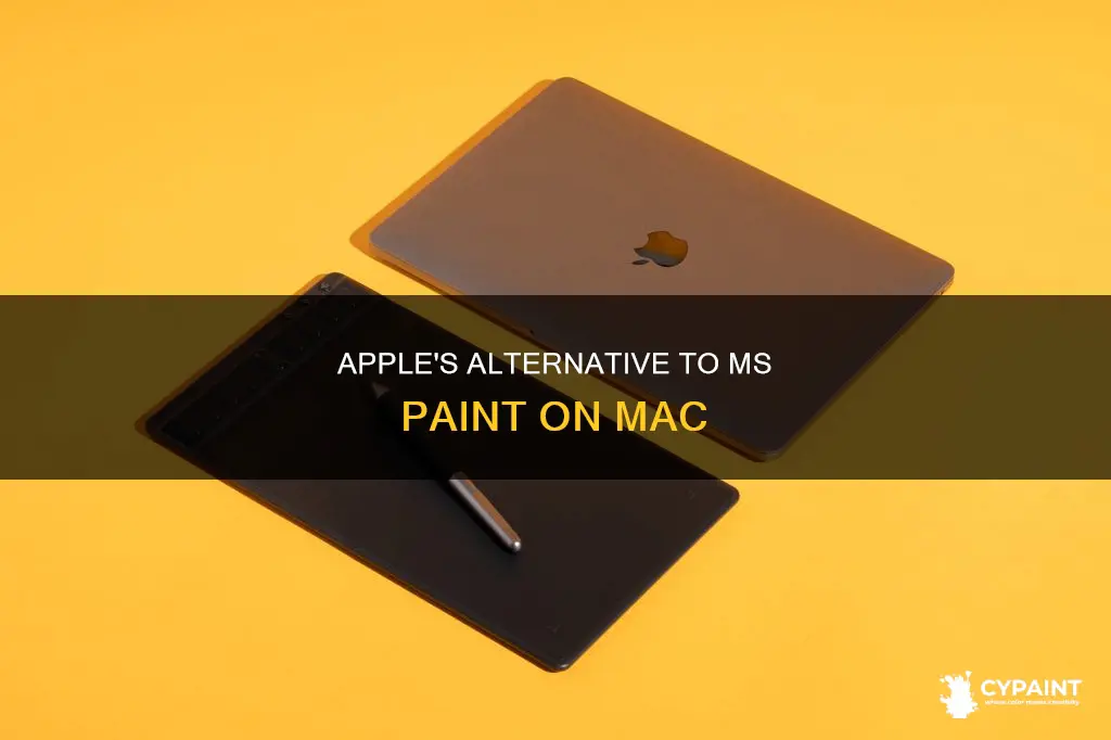 does apple have something similar to paint on mac
