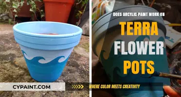 Can You Use Acrylic Paint on Terra Cotta Flower Pots?