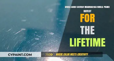 Audi's Lifetime Paint Defect Cover: What You Need to Know