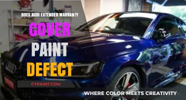 Audi Extended Warranty: Does It Cover Paint Defects?