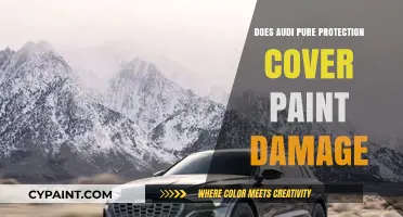 Does Audi Pure Protection Cover Paint Damage? A Comprehensive Guide