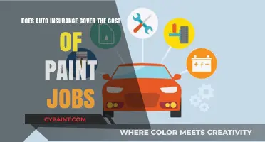 Auto Insurance: Paint Job Coverage?