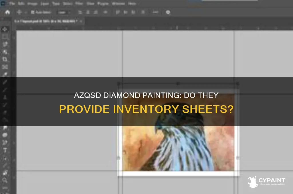 does azqsd diamond painting have inventory sheets