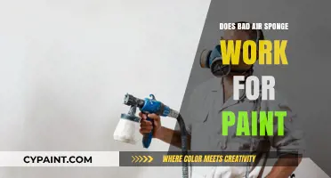 Does Bad Air Sponge Effectively Remove Paint? A Comprehensive Review