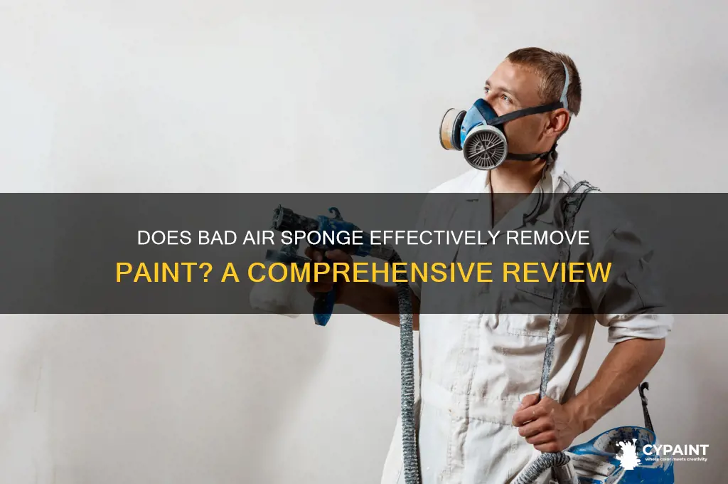 does bad air sponge work for paint