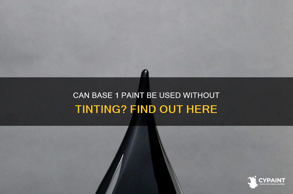 does base 1 paint have to be tinted