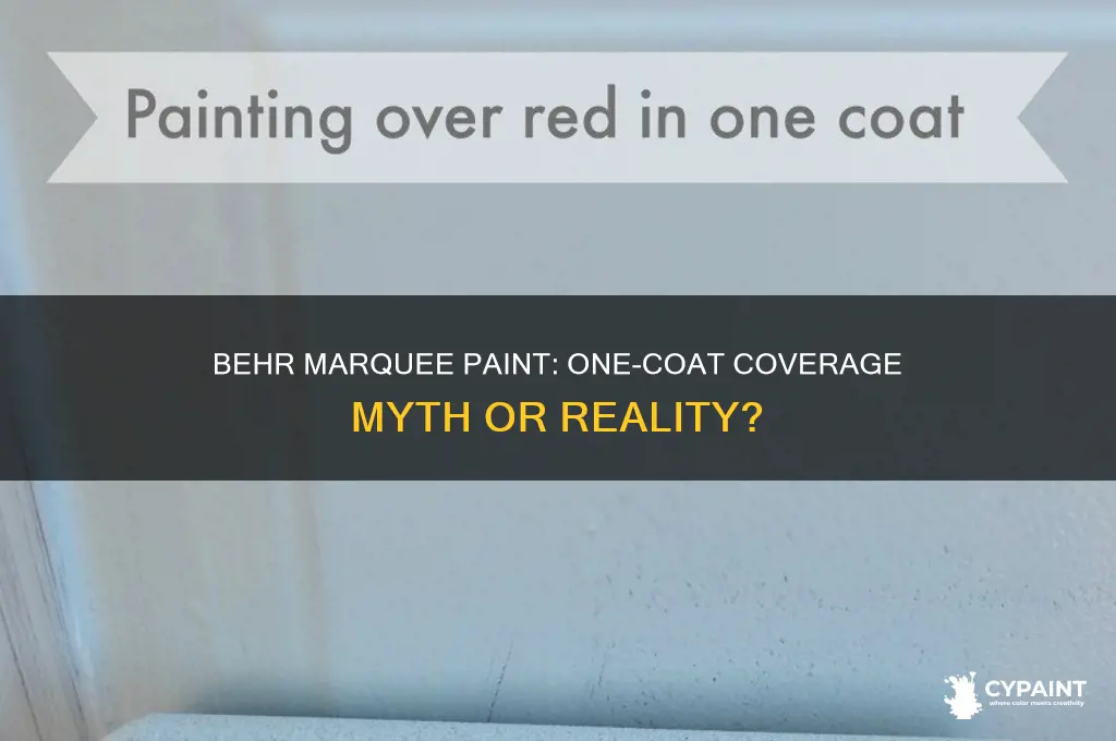 One Coat Behr Paint