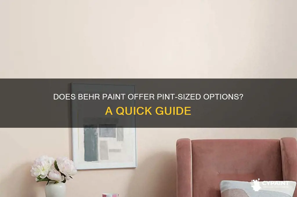 does behr paint come in pint size