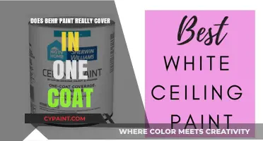 Does Behr Paint Truly Deliver One-Coat Coverage? Our Honest Review