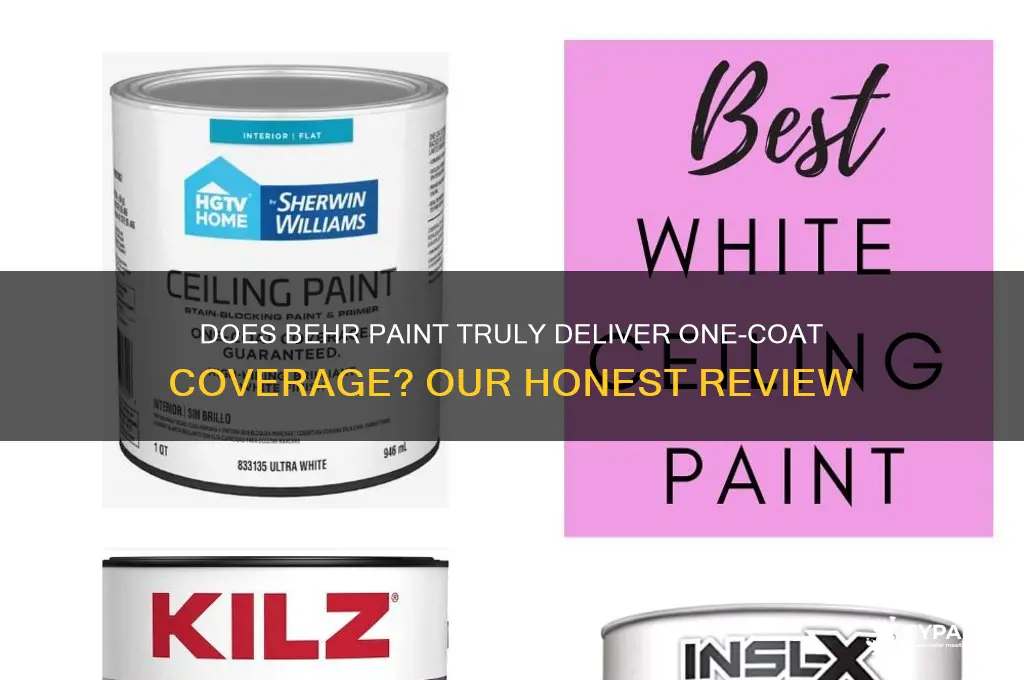 does behr paint really cover in one coat