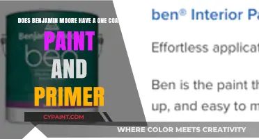 Benjamin Moore's One Coat Paint and Primer: Fact or Fiction?