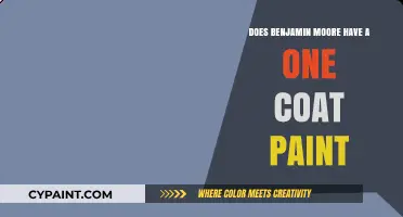 Benjamin Moore One Coat Paint: Fact or Fiction?